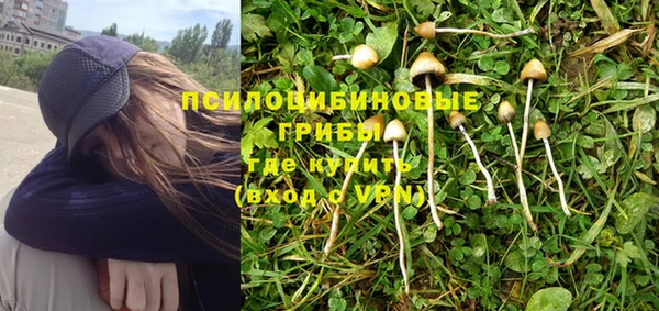 ГАЛЛЮЦИНОГЕННЫЕ ГРИБЫ Белоозёрский
