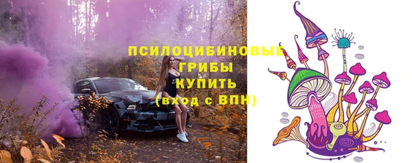 ГАЛЛЮЦИНОГЕННЫЕ ГРИБЫ Белоозёрский