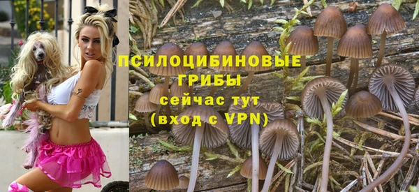 MDMA Белокуриха