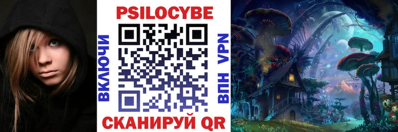 Галлюциногенные грибы Psilocybe  где купить   кракен вход  Волчанск 